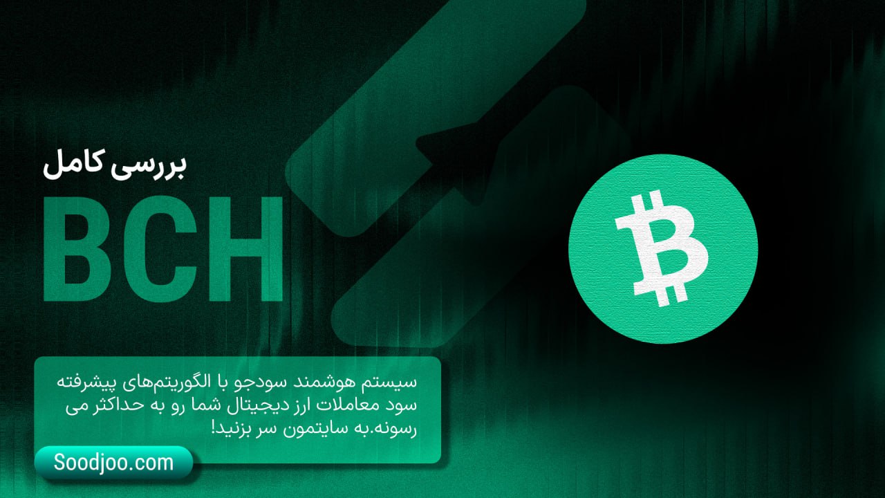 بیت کوین کش در سال ۲۰۲۵: آرمان یک پول الکترونیکی یا میراث فراموششده؟