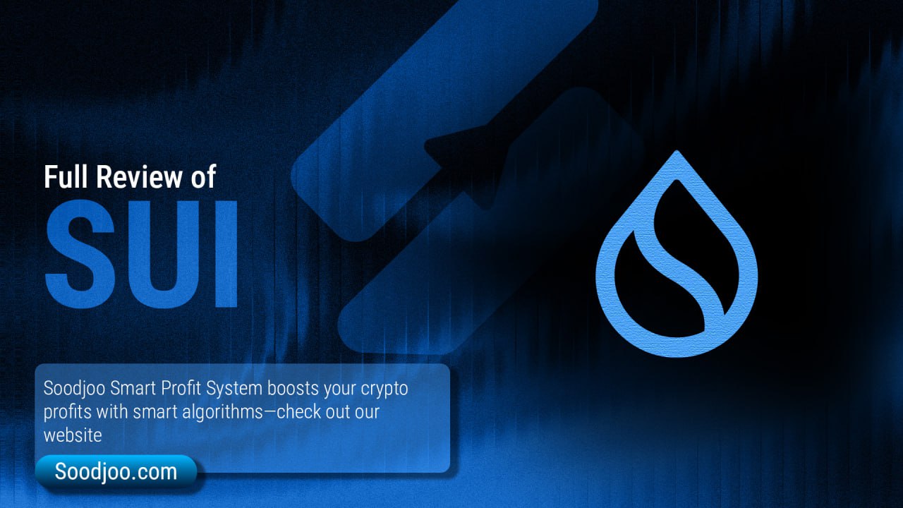 SUI in 2025: A Comprehensive Analytical Report; Beyond a Fast Blockchain