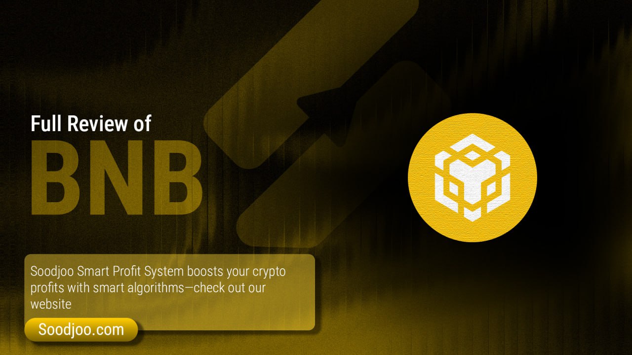 BNB in 2025: From the Binance Ecosystem to a Blockchain Web3 Giant
