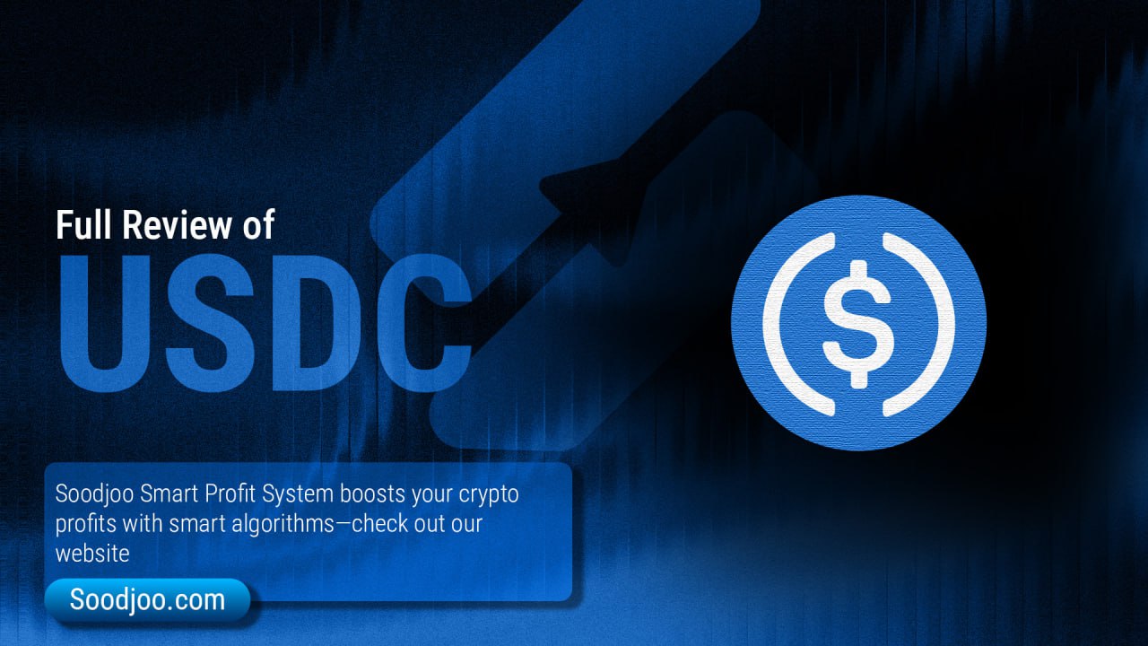 USDC in 2025: From a Digital Dollar to the Backbone of the New Financial Economy
