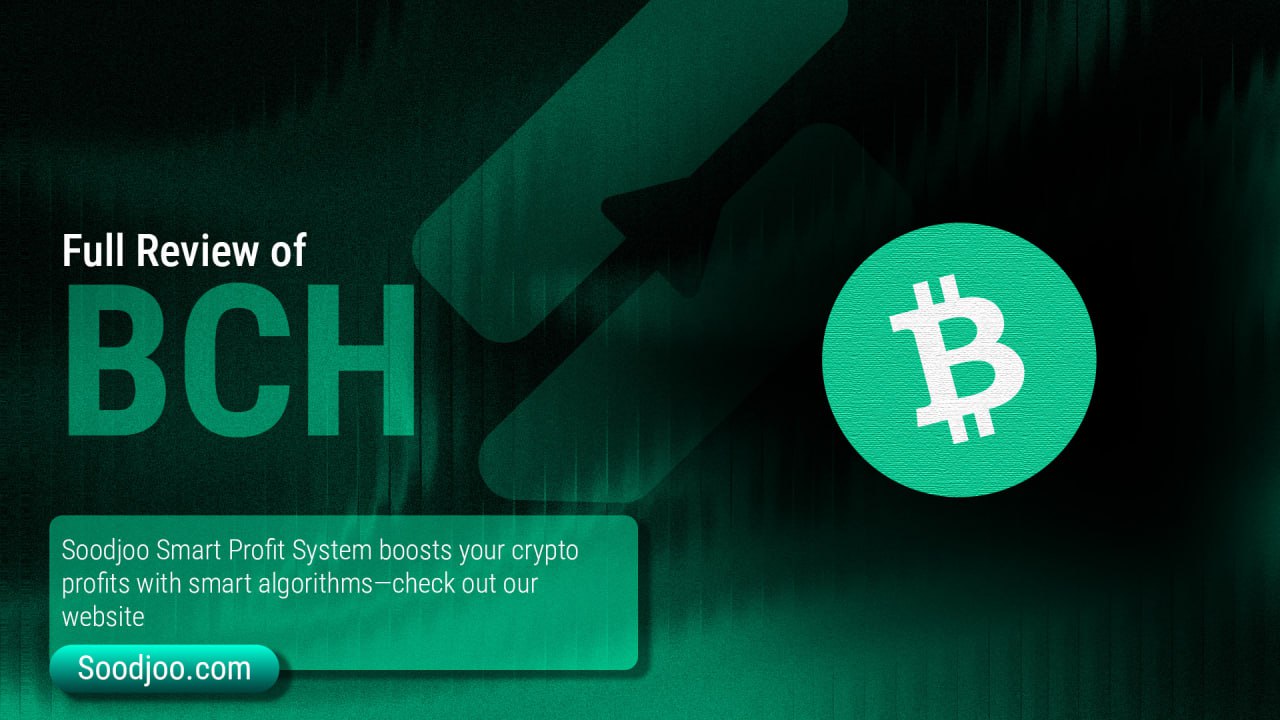 Bitcoin Cash in 2025: The Ideal of Electronic Cash or a Forgotten Legacy?